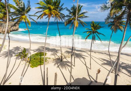 Bottom Bay ist einer der schönsten Strände der karibischen Insel Barbados. Es ist ein tropisches Paradies mit Palmen, die über türkisfarbenem Atlan hängen Stockfoto