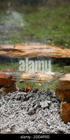 Stücke gebratenes Huhn auf einem offenen Feuer gebacken Stockfoto