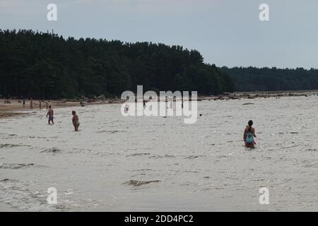 Die Menschen genießen Sommerurlaub am Strand Koporye Bay, Sosnovy Bor. St. Petersburg. Stockfoto