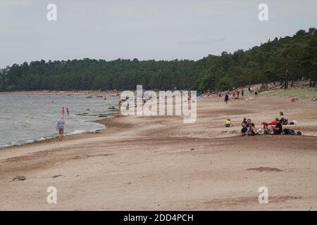 Die Menschen genießen Sommerurlaub am Strand Koporye Bay, Sosnovy Bor. St. Petersburg. Stockfoto