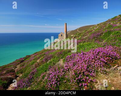 Ruinen des Towanroath Maschinenhauses in Wheal Coates, St. Agnes, Cornwall. Stockfoto