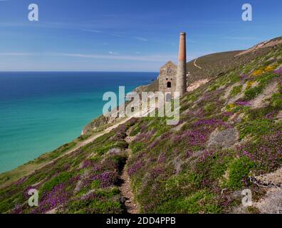 Ruinen des Towanroath Maschinenhauses in Wheal Coates, St. Agnes, Cornwall. Stockfoto