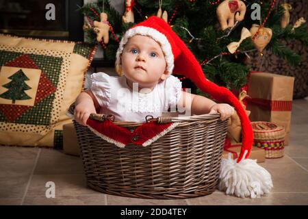 Kleines Mädchen in Santa Hut sitzt im Korb vor dem Hintergrund von Kamin und Weihnachtsbaum. Stockfoto