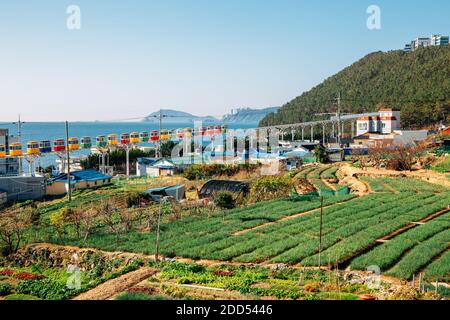 Blick auf das Dorf Cheongsapo und das blaue Meer in Busan, Korea Stockfoto