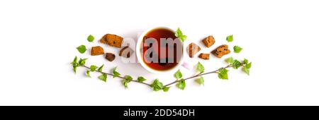 Tasse Tee von Birke Chaga Pilz und zerkleinert Chaga Pilz Stücke für Tee Brauen isoliert auf einem weißen. Bannerhintergrund Stockfoto