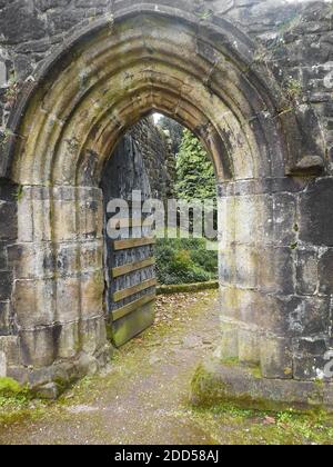 Whalley Abbey, Lancashire, Großbritannien 2020 - 1296 zogen die Mönche von Stanlow Point, Cheshire nach Norden nach Whalley, Lancashire, wo sie ein neues Kloster am Fluss Calder errichteten. An der Stelle befand sich bereits eine Kapelle, die von Peter von Chester, dem Rektor von Whalley, errichtet wurde, und das Gebäude aus dem 13. Jahrhundert wurde in das neue Kloster integriert. Der Grundstein für die neue Abteikirche wurde im Juni 1296 von Henry de Lacy, dem 10. Baron von Halton, gelegt. Stockfoto