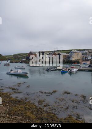 Salcombe, South Devon eine Küstenstadt von außergewöhnlicher natürlicher Schönheit. Salcombe Hafen und Regatta, Segeln, Yachting, Quayside, Kingsbridge Mündung Stockfoto
