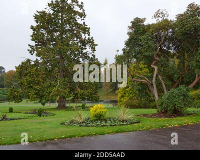 Bickton Park Botanical Gardens, East Devon, Großbritannien. Wunderschön strukturierte Gärten. St. Mary's Parish Church. Tempel Orangerie, üppig bepflanzte Wald & Parkland Stockfoto