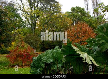 Bickton Park Botanical Gardens, East Devon, Großbritannien. Wunderschön strukturierte Gärten. St. Mary's Parish Church. Tempel Orangerie, üppig bepflanzte Wald & Parkland Stockfoto