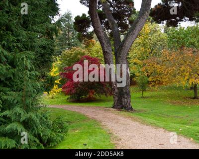 Bickton Park Botanical Gardens, East Devon, Großbritannien. Wunderschön strukturierte Gärten. St. Mary's Parish Church. Tempel Orangerie, üppig bepflanzte Wald & Parkland Stockfoto