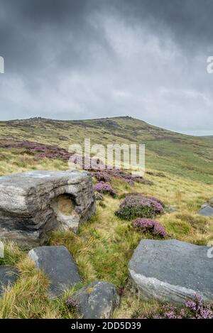 Gritstone Rocks and Heather, West NAB, Holmfirth, West Yorkshire, England, Großbritannien Stockfoto