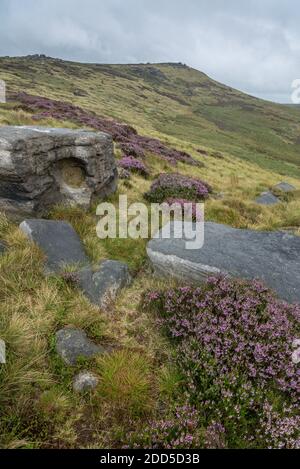 Gritstone Rocks and Heather, West NAB, Holmfirth, West Yorkshire, England, Großbritannien Stockfoto