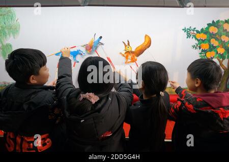 Shijiazhuang, Chinas Provinz Hebei. November 2020. Schüler erleben Schattenspiel an der Xiyoucun Grundschule in der Stadt Shahe, nordchinesische Provinz Hebei, 24. November 2020. Quelle: Fan Shihui/Xinhua/Alamy Live News Stockfoto