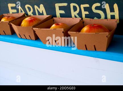 Ein handbemaltes Schild mit der Aufschrift Farm Fresh mit riesigen, roten, reifen Tomaten. An einem Gemüsestand am Straßenrand auf einem Bauernhof in Lissabon, Maine. Stockfoto