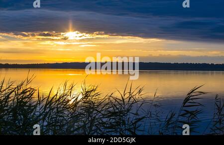 Blick auf den See im Schilf bei Sonnenaufgang. Stockfoto