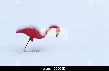 Bartlett, IL, USA. November 2020. 24. November 2020 - Bartlett, Illinois USA - EIN rosa Flamingo-Rasenschmuck aus Kunststoff steht nach dem ersten Schneefall der Saison in der Region Chicago mit Schnee bedeckt. Der rosa Rasen Flamingo wurde 1957 vom Künstler Don Featherstone entworfen. Kredit: H. Rick Bamman/ZUMA Wire/Alamy Live Nachrichten Stockfoto