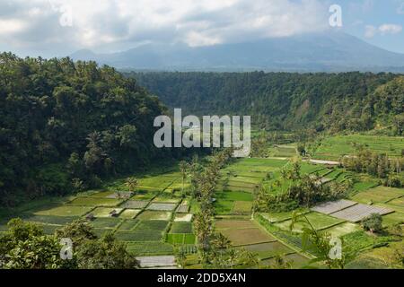 Mount Agung Vulkan in der Ferne, umgeben von einer Landschaft von Palmen, Bauernhöfen und Reisfeldern, in der Nähe der Stadt Besakih im Osten pa Stockfoto