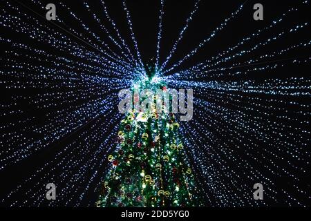 Ansicht von unten auf einen Weihnachtsbaum mit schönen Lichtern. Neujahrsdekoration. Stockfoto