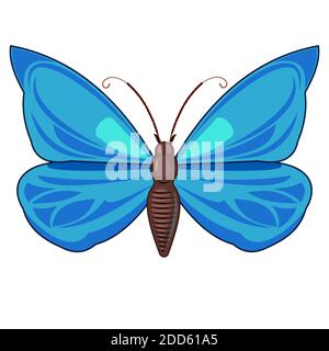 Blauer Schmetterling. Helle schöne Komposition. Isoliertes Objekt auf Weiß. Stockfoto