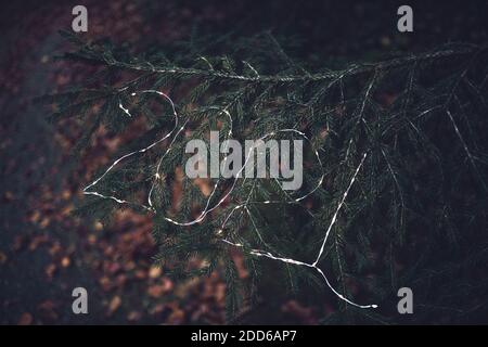 2021 geschrieben auf den Weihnachtsbaum mit einer Lichtergirlande. Stockfoto