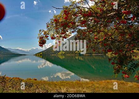 Herbststimmung auf dem Reschensee Stockfoto