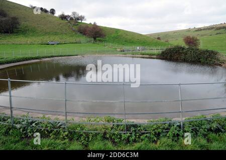 Taupeiche auf den Sussex Downs zwischen Lewes und Glynde. Einst ein gewöhnlicher Anblick, werden sie als Trinkplätze für Schafe und Rinder genutzt. Stockfoto