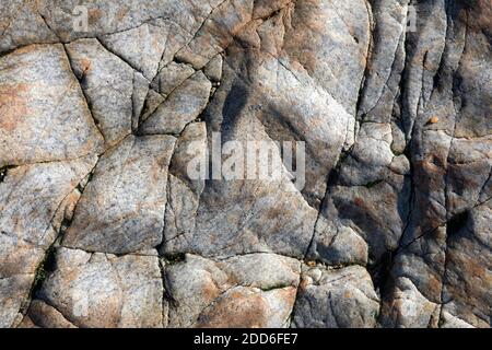 Ein Becken, ein Pool in den Mulden von glatten Granitsteinen. Kolonien von Muscheln und Krebstieren. Natürlicher Hintergrund. Atlantikküste in Porto, Portuga Stockfoto