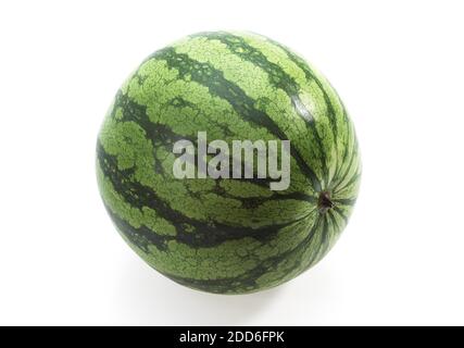 Wassermelone, Citrullus Lanatus, vor weißem Hintergrund Stockfoto