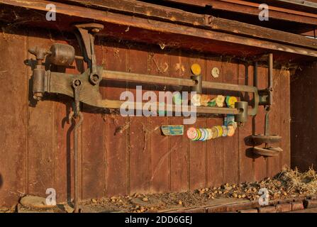 Verlassene antiquierte "in Ground" Viehwaage, Gewichte & Maßnahmen Zertifizierung Siegel 1959 - 2001. Stockfoto