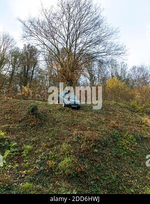 Bester CO2-Fußabdruck: Aus dem Dach eines alten Autos wächst in Altenahr ein Baum Stockfoto