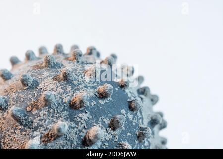 Oberflächenbehandeltes Modell eines Virusmodells. Für Covid-Impfstoff Durchbruch, Coronavirus-Impfstoff, Virologie, Viruszerfall, Modell Coronavirus. Stockfoto