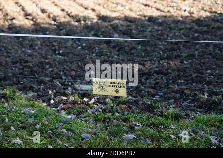 Elektrischer Zaun für Rinder zum Schutz der Gartenproduktion vor Wildtieren. Gelbes Schild, das auf spanisch ¨ elektrische Zäune ¨ sagt und eine Zeichnung hat Stockfoto