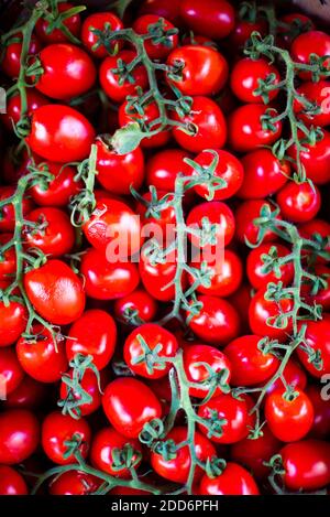 Tomaten auf dem Markt von Ortigia, Syrakus (Sirakus), Sizilien, Italien, Europa Stockfoto