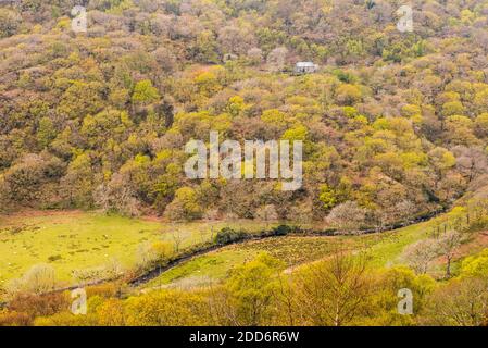 Croesor Valley, Snowdonia National Park, Nordwales Stockfoto