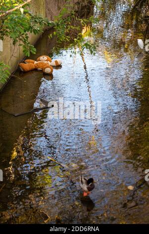 Ein großer ausgestopfter Teddybär, der in der Flussmündung des Pritle Brook abgeführt wurde. Historischer Fluss von Prittlewell, und Southend, Essex, Großbritannien. Weggeworfenes Kinderspielzeug Stockfoto