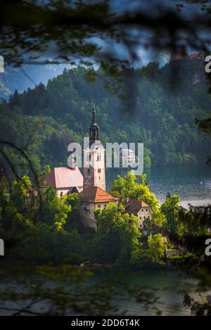 Bleder See, Kirche Mariä Himmelfahrt, vom Osojnica-Hügel aus gesehen, Gorenjska, Oberkrain, Slowenien, Europa Stockfoto
