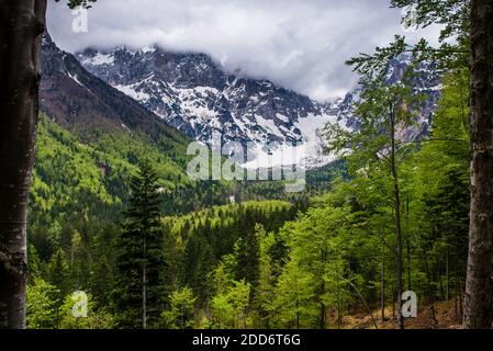 Slowenien. Juilan Alpen etwas außerhalb Kranjska Gora, Triglav Nationalpark, Oberkrain, Slowenien Stockfoto