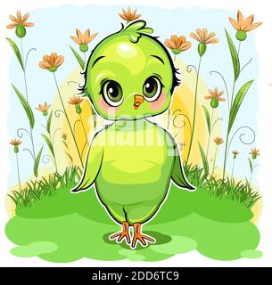 Papagei Mädchen. Lustige Küken. Niedliche und lustige Baby Vogel. Das isolierte Objekt auf weißem Hintergrund. Abbildung. Cartoon-Stil. Blumenwiese. Stockfoto