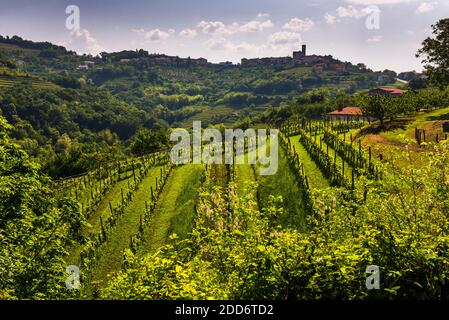 Weinberge und St. Martin Kirche hoch über dem Hügel Stadt Smartno in Goriska Brda, der Weinregion von Slowenien, Europa Stockfoto