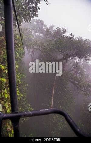 Ecuador. Mashpi Eco Lodge Sky Bike an einem nebligen Morgen im Choco Regenwald, Ecuador, Südamerika Stockfoto