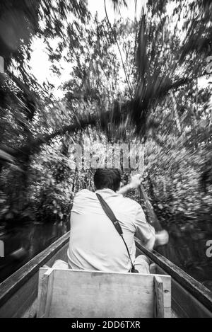 Kanufahrt im Amazonas Regenwald, Coca, Ecuador, Südamerika Stockfoto