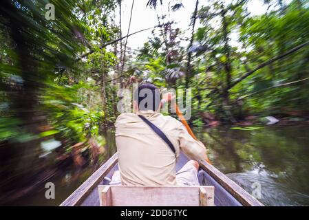 Kanufahrt im Amazonas Regenwald, Coca, Ecuador, Südamerika Stockfoto