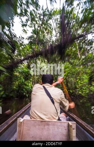 Kanufahrt im Amazonas Regenwald, Coca, Ecuador, Südamerika Stockfoto