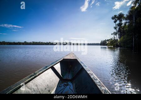 Kanubootfahrt auf dem Sandoval See, Tambopata National Reserve, Amazonas Dschungel von Peru, Südamerika Stockfoto
