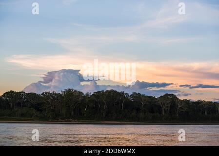 Sonnenuntergang über dem Fluss im Amazonas Dschungel von Peru, Tambopata National Reserve, Peru, Südamerika Stockfoto