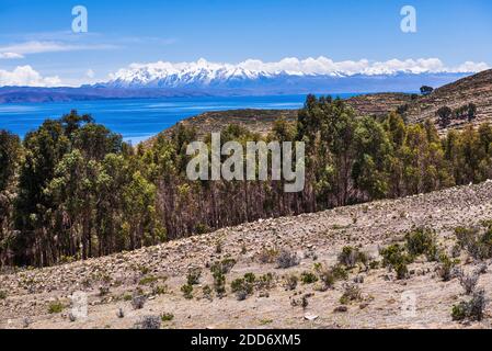 Isla del Sol (Sonneninsel) mit Cordillera Real dahinter, Titicacasee, Bolivien, Südamerika Stockfoto