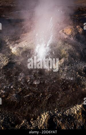 El Tatio Geysire (Geysire del Tatio), das größte Geysir-Feld der südlichen Hemisphäre, Atacama-Wüste, Nord-Chile, Südamerika Stockfoto