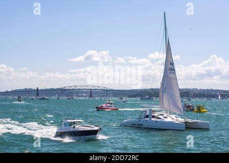 Boote in Auckland Hafen, Neuseeland Nordinsel Stockfoto