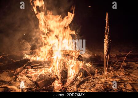 Kochen von Fischen am Feuer am Strand in der Nacht, Dawei Halbinsel, Tanintharyi Region, Myanmar (Burma) Stockfoto