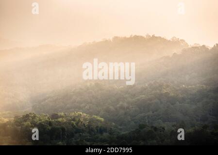 Regenwald bei Sonnenaufgang vom Berg Bukit Tabur, Kuala Lumpur, Malaysia, Südostasien Stockfoto